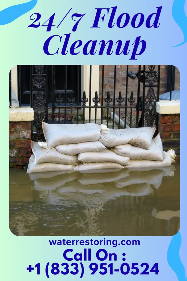 24/7 Flood Cleanup in Edinburg, VA