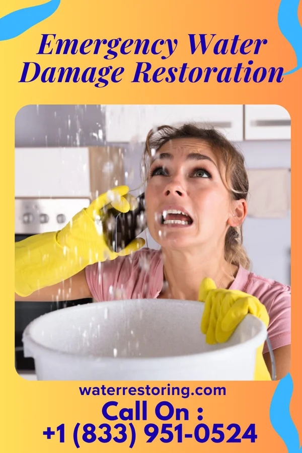 Emergency Water Damage Restoration in Edinburg, VA