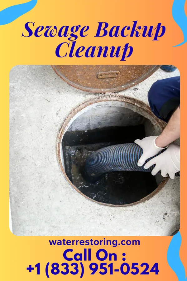Sewage Backup Cleanup in Edinburg, VA