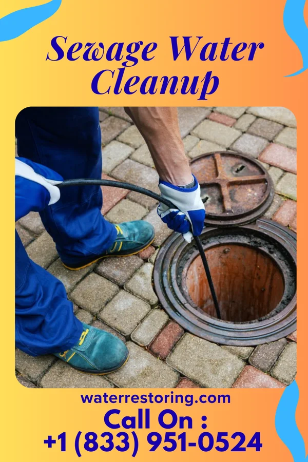 Sewage Water Cleanup in Edinburg, VA