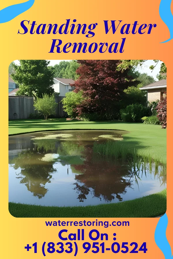 Standing Water Removal in Edinburg, VA